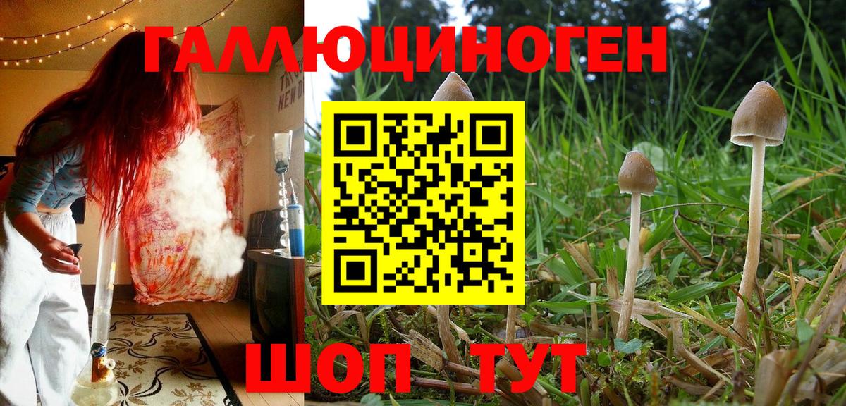 Галлюциногенные грибы Psilocybe  Вход с VPN  Псилоцибиновые грибы Psilocybe  Малгобек 